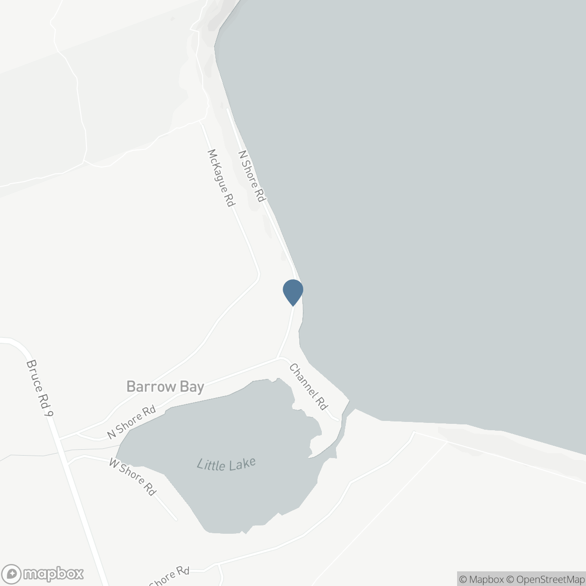 101 NORTH SHORE ROAD, Lion's Head, Ontario N0H 1W0